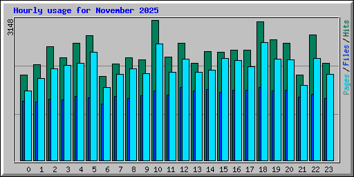 Hourly usage for November 2025