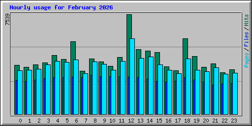 Hourly usage for February 2026