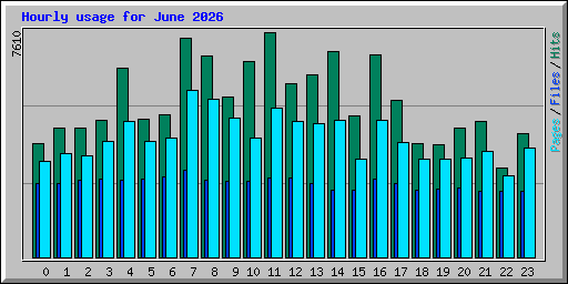 Hourly usage for June 2026
